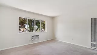 Photo #2: PTP2508626 Listing