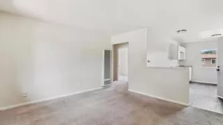 Photo #3: PTP2508626 Listing