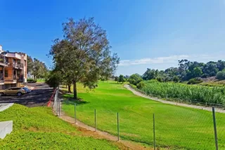 Photo #1: PTP2508649 Listing 