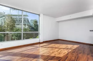 Photo #1: PTP2508751 Listing 