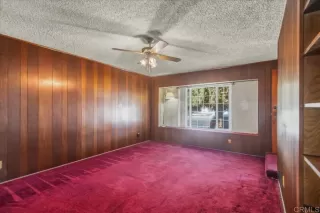 Photo #2: PTP2508800 Listing 