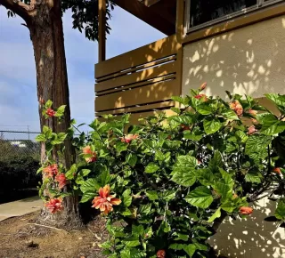 Photo #2: PTP2508907 Listing 