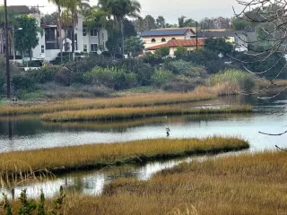 Photo #3: PTP2508907 Listing 