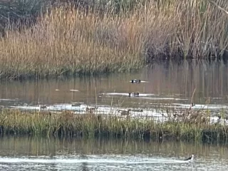 Photo #4: PTP2508907 Listing 