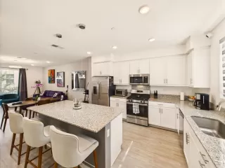 Primary Photo for MLS#: PTP2508982