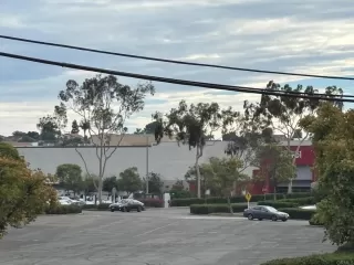 Photo #4: PTP2509077 Listing 