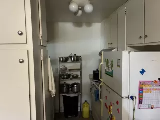 Photo #1: PTP2509113 Listing