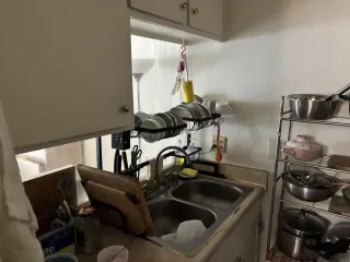 Photo #2: PTP2509113 Listing