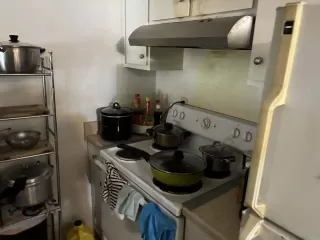 Photo #3: PTP2509113 Listing