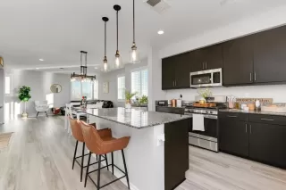 Primary Photo for MLS#: PTP2509170