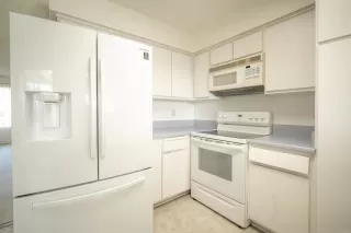 Photo #4: PTP2509198 Listing