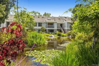 More Details about MLS # PTP2509269 : 12237 CARMEL VISTA ROAD UNIT 161