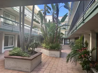 Photo #3: PTP2509282 Listing 