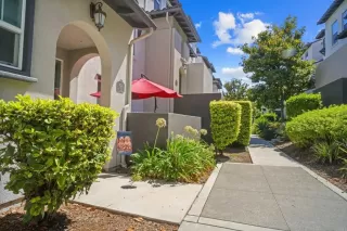 Photo #1: PTP2509314 Listing 