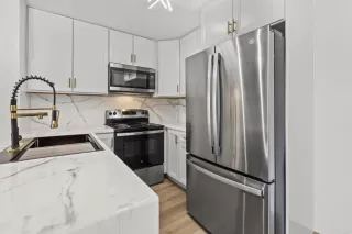 Photo #2: PTP2600031 Listing 