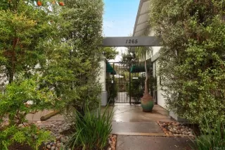 Photo #1: PTP2600032 Listing 