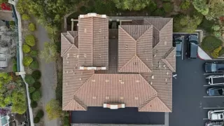 Photo #3: PTP2600060 Listing 