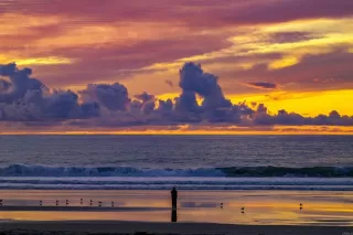 Photo #2: PTP2600165 Listing