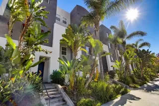 Photo #5: PTP2600367 Listing 