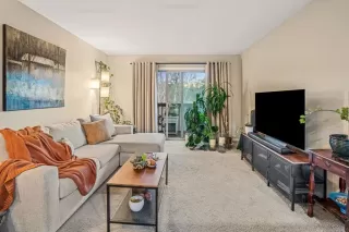 Photo #3: PTP2600407 Listing 