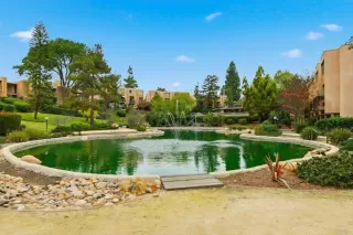 Photo #1: PTP2600432 Listing 