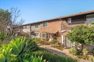 Photo #1: PTP2600591 Listing