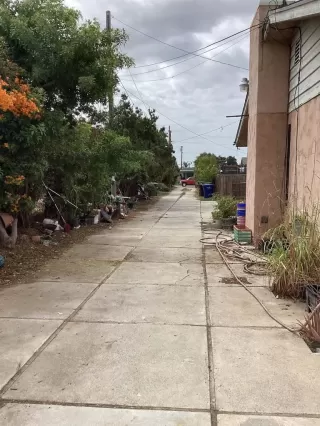 Photo #3: PTP2600718 Listing 