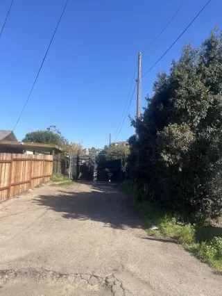 Photo #5: PTP2600718 Listing 