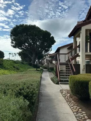 Photo #1: PTP2600746 Listing