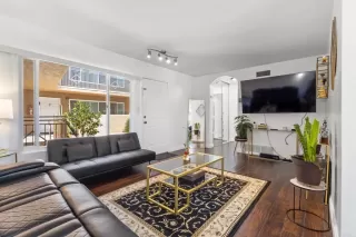 Primary Photo for MLS#: PTP2600759