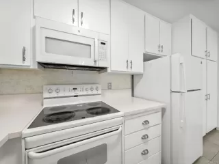 Photo #2: PTP2600851 Listing 