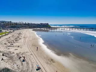 Photo #3: PTP2601027 Listing