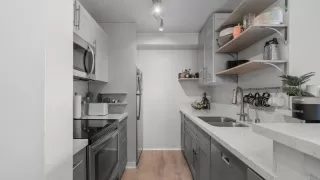 Primary Photo for MLS#: PTP2601030