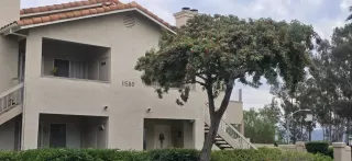 Photo #1: PTP2601336 Listing 