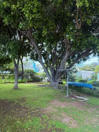 Photo #4: PTP2601600 Listing 