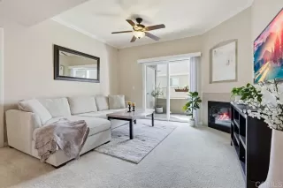 Photo #5: PTP2601752 Listing 