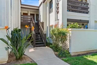 Photo #2: PTP2601979 Listing 