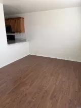 Primary Photo for MLS#: PTP2602335