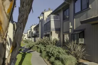 Photo #2: PTP2602427 Listing 