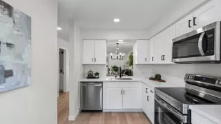 Photo #2: PTP2602462 Listing 