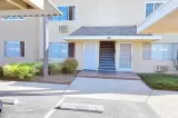 Primary Photo for MLS#: PTP2602758