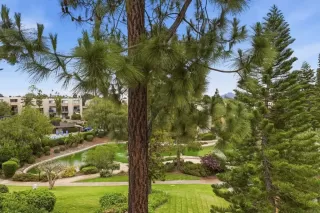 Photo #1: PTP2602830 Listing 