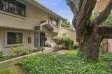 Primary Photo for MLS#: PTP2602866