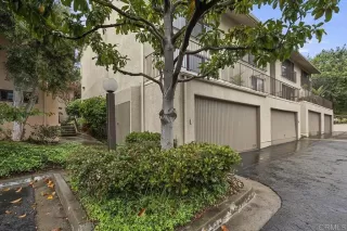 Photo #1: PTP2602866 Listing 