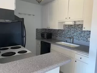 Primary Photo for MLS#: PTP2602883