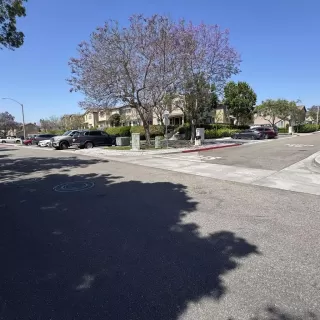 Photo #5: PTP2603611 Listing 