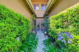 Photo #1: PTP2603749 Listing 
