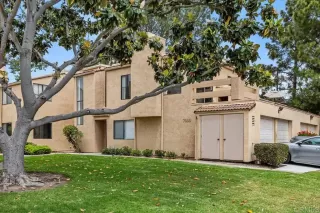 Photo #1: PTP2603757 Listing