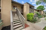 Primary Photo for MLS#: PTP2603827