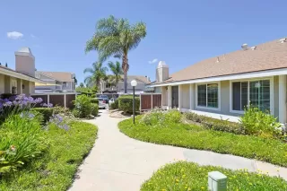 Photo #1: PTP2604152 Listing